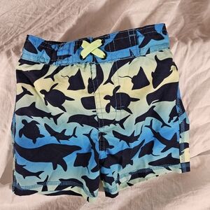 Blue and Green Swim Trunks with Marine Life Pattern
